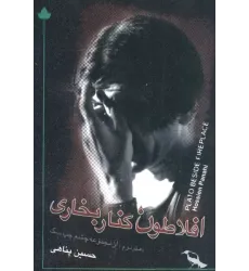 کتاب افلاطون کنار بخاری