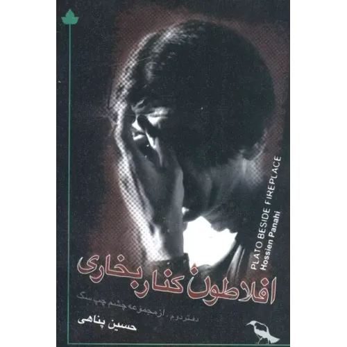 کتاب افلاطون کنار بخاری