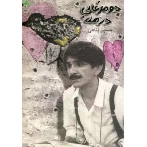 کتاب دو مرغابی در مه