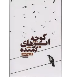کتاب کوچه ابرهای گمشده (کتاب بوف24)