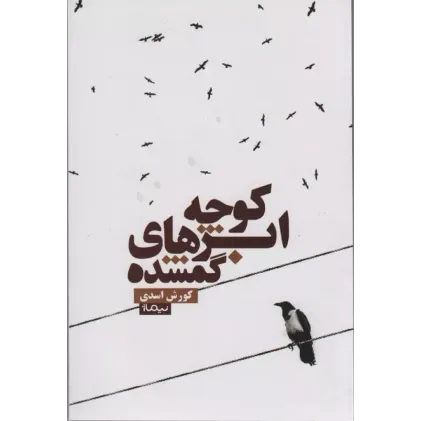 کتاب کوچه ابرهای گمشده (کتاب بوف24)